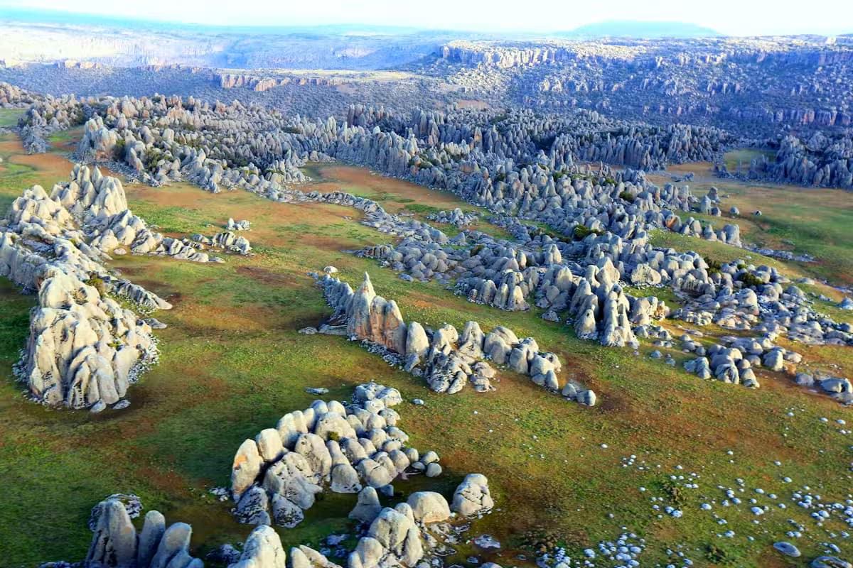 Trekking Trip on The Bale Mountains National Park