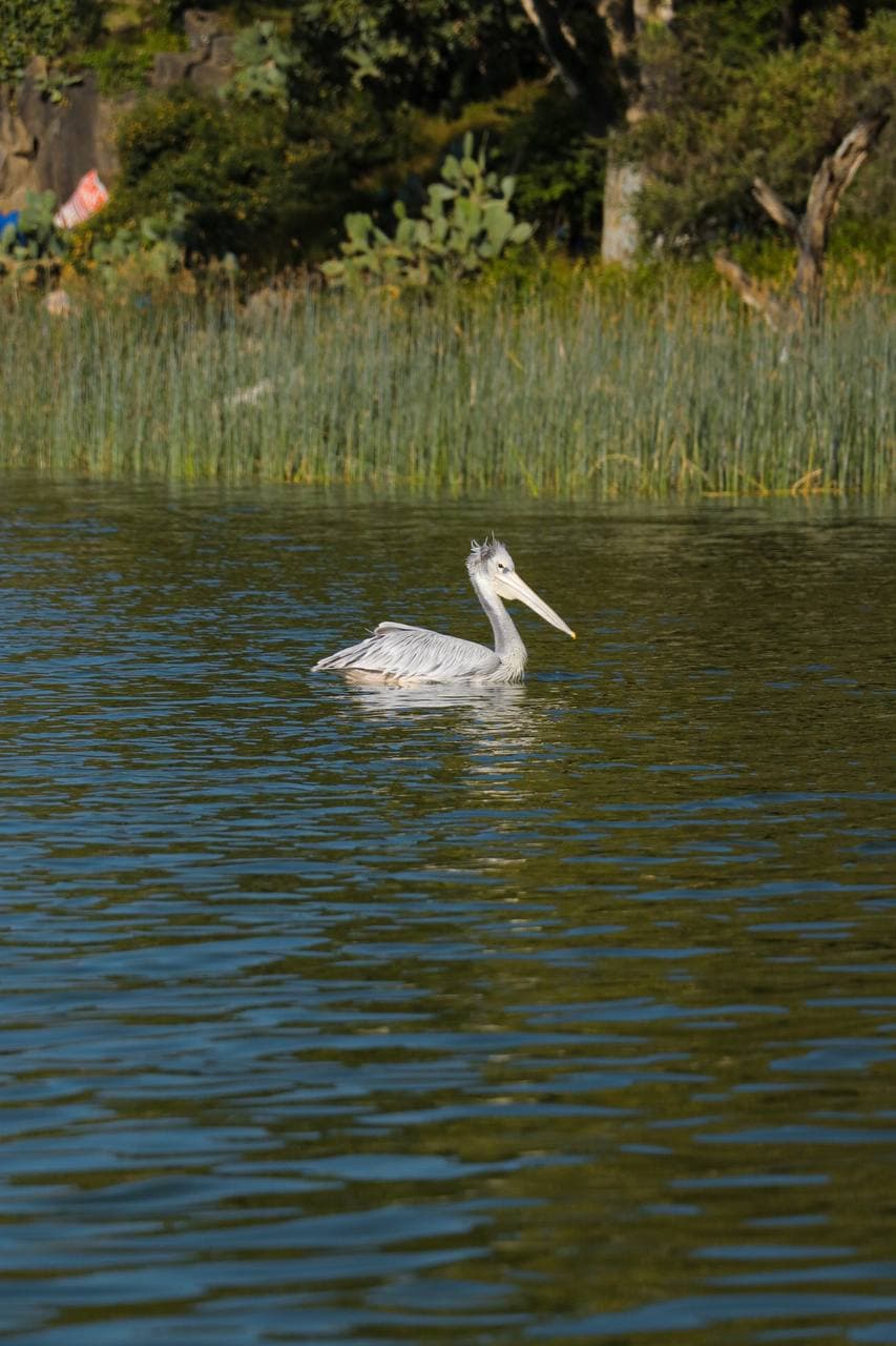 Contact and Gallery image 5