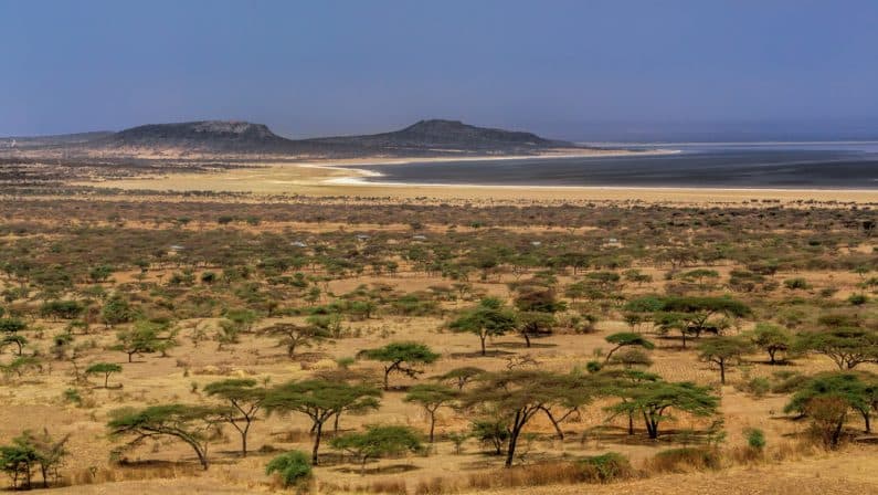 Abijatta-Shalla Lakes National Park: Ethiopia’s Rift Valley Gem