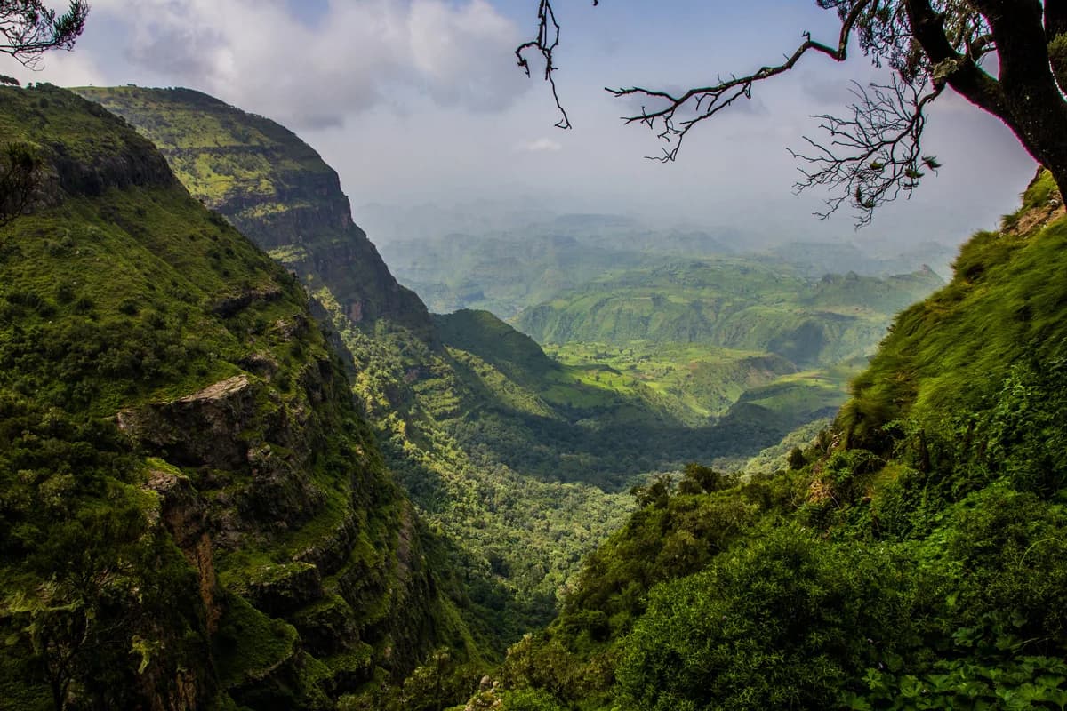 Bale Mountains: Ethiopia’s Wilderness Escape